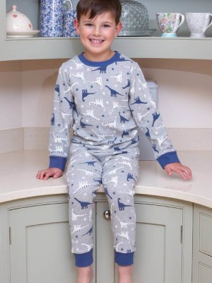 Pyjama coton bio garçon motif dinosaure