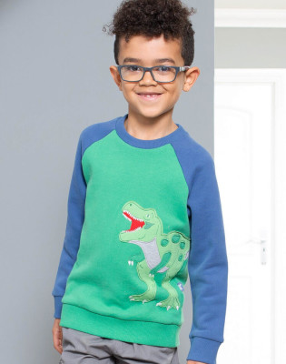 Sweat coton bio enfant motif dinosaure