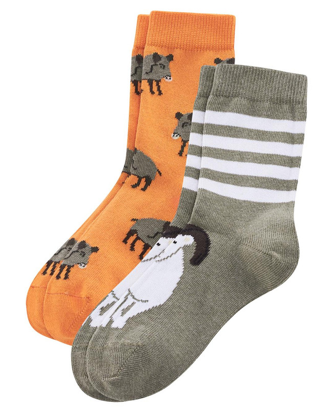 Pack de 5 paires de chaussettes pour enfants motifs animaux