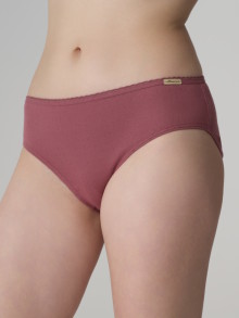 Culotte coton biologique Comazo earth