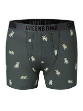 Boxer en coton biologique motifs originaux