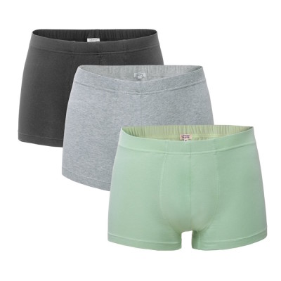 Boxers coton bio homme