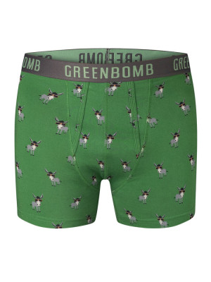 Boxer original homme en coton biologique