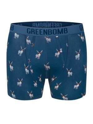 Boxer original en coton biologique pour homme