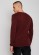 Pull coton bio homme dos