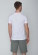 T-shirt original homme coton bio